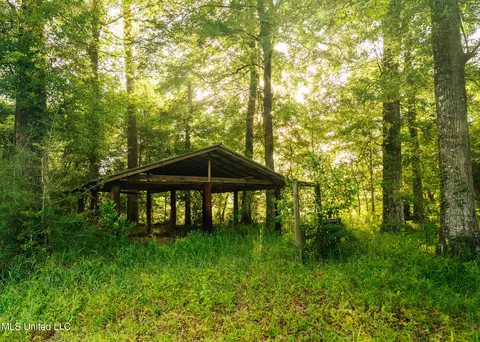 1954 Jerico Loop Loop, Mclain, MS 39456 photo 17