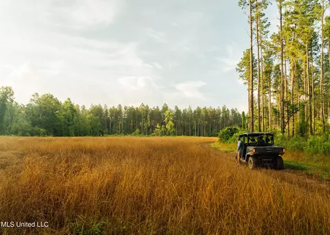 1954 Jerico Loop Loop, Mclain, MS 39456 photo 22