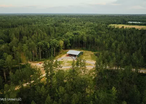 1954 Jerico Loop Loop, Mclain, MS 39456 photo 8