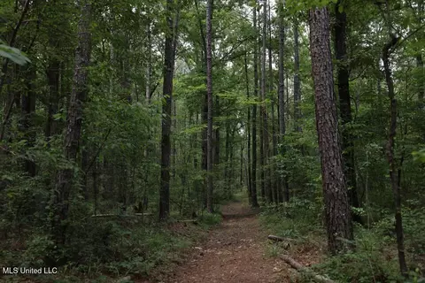 Trickhambridge Road, Brandon, MS 39042 photo 7