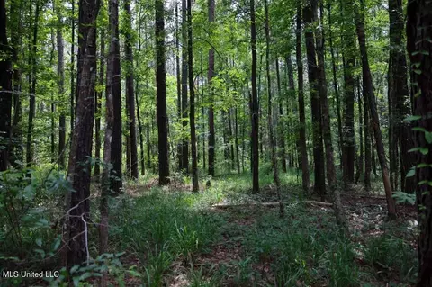 Trickhambridge Road, Brandon, MS 39042 photo 10