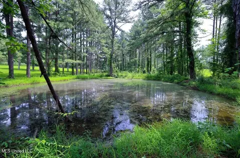 Trickhambridge Road, Brandon, MS 39042 photo 13