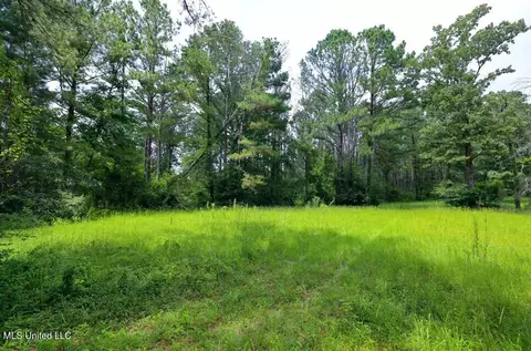 Trickhambridge Road, Brandon, MS 39042 photo 3