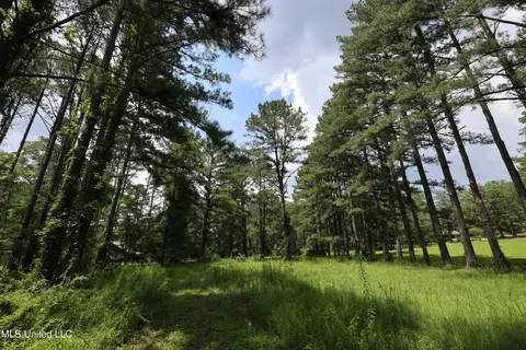 Trickhambridge Road, Brandon, MS 39042
