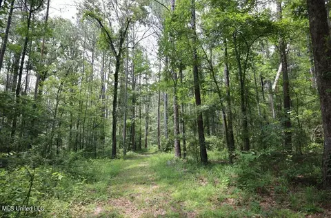 Trickhambridge Road, Brandon, MS 39042 photo 6