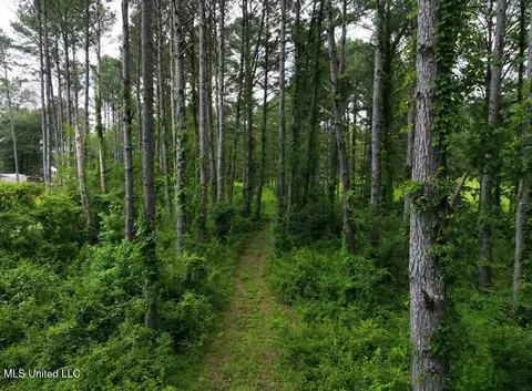 Trickhambridge Road, Brandon, MS 39042 photo 4