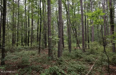 Trickhambridge Road, Brandon, MS 39042 photo 9