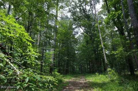 Trickhambridge Road, Brandon, MS 39042 photo 5