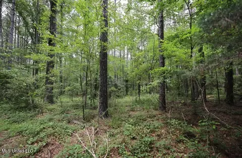 Trickhambridge Road, Brandon, MS 39042 photo 11