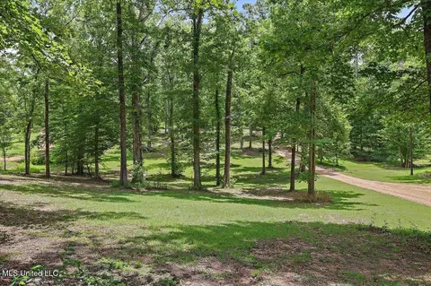 162 S Eagle Ridge Dr, Florence, MS 39073 photo 2