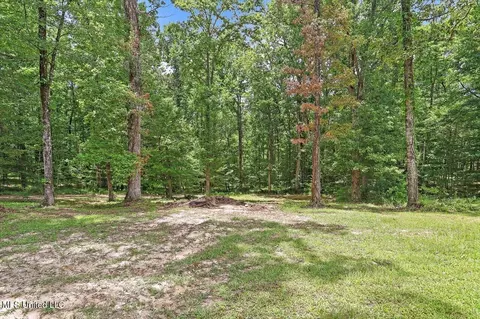 162 S Eagle Ridge Dr, Florence, MS 39073 photo 36