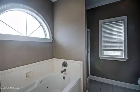 Bath - 426 Fairfield Dr, Madison, MS 39110 photo 2 of 5