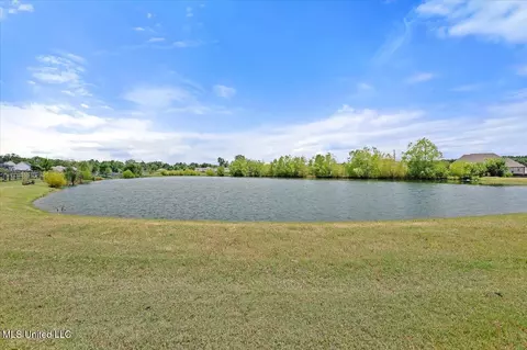 110 Crossview Pl, Brandon, MS 39047 photo 60