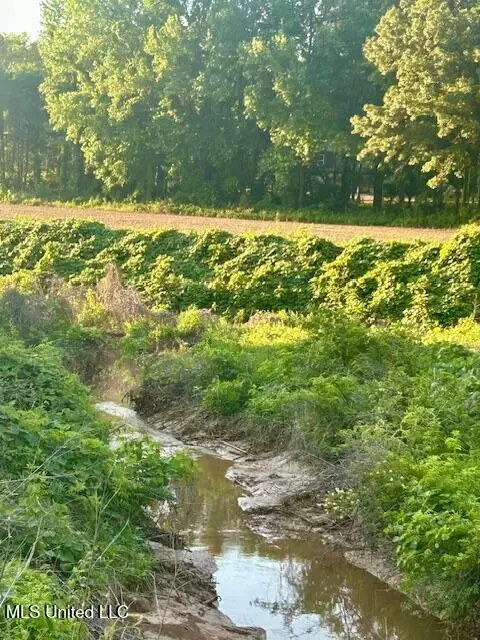 01 Lyles Rd, Senatobia, MS 38668 photo 2