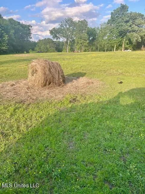 01 Lyles Rd, Senatobia, MS 38668 photo 5