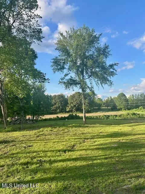 01 Lyles Rd, Senatobia, MS 38668 photo 3