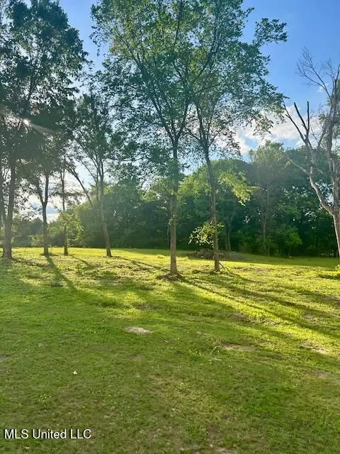 01 Lyles Rd, Senatobia, MS 38668 photo 14