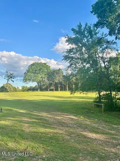 01 Lyles Rd, Senatobia, MS 38668 photo 9