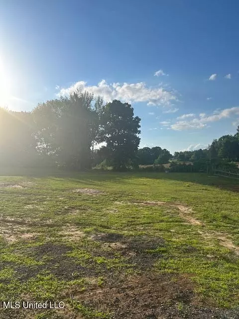 01 Lyles Rd, Senatobia, MS 38668 photo 15