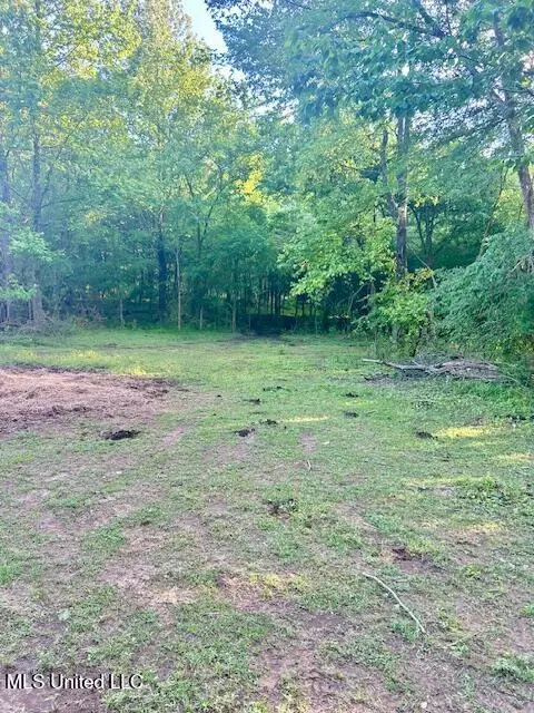 01 Lyles Rd, Senatobia, MS 38668 photo 10