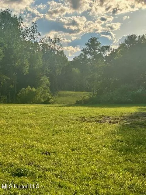 01 Lyles Rd, Senatobia, MS 38668 photo 4