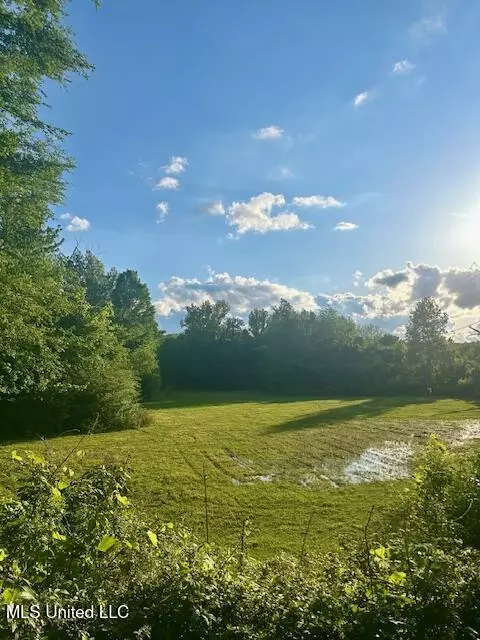 01 Lyles Rd, Senatobia, MS 38668 photo 12