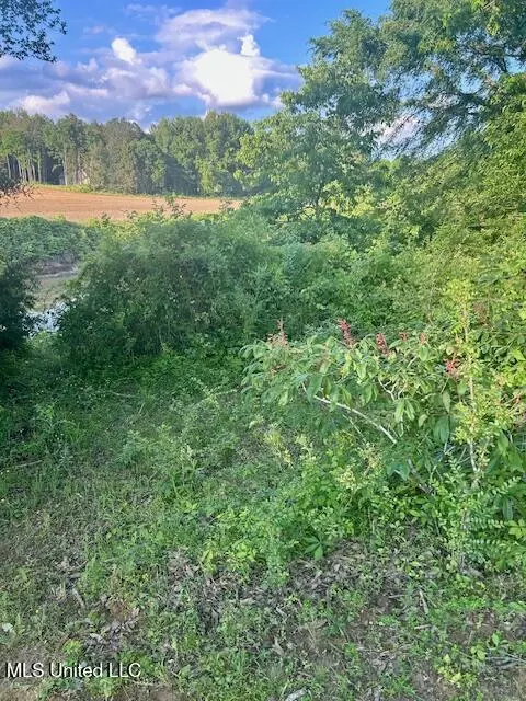 01 Lyles Rd, Senatobia, MS 38668 photo 11