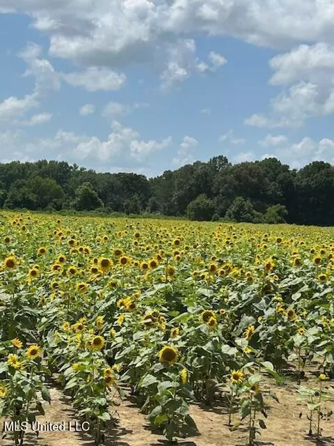 01 Lyles Rd, Senatobia, MS 38668 photo 16