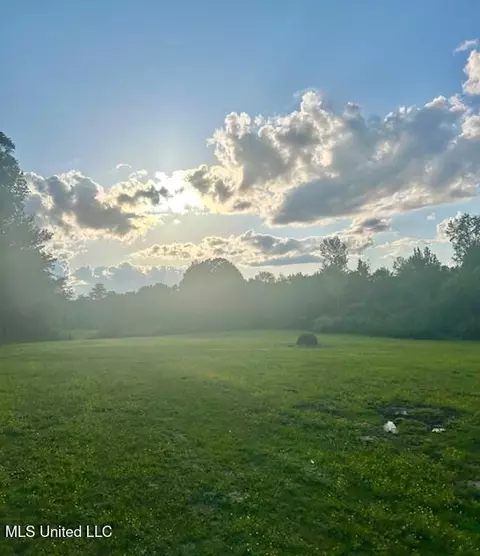 01 Lyles Rd, Senatobia, MS 38668 photo 6