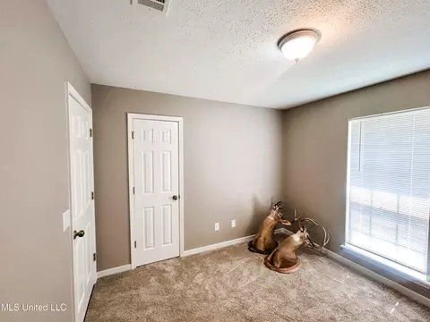378 Siwell Meadows Dr, Byram, MS 39272 photo 28