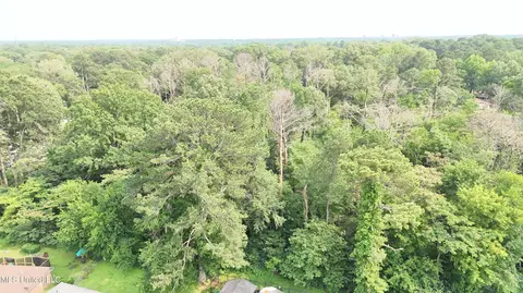 0 Watkins Dr, Jackson, MS 39206 photo 5