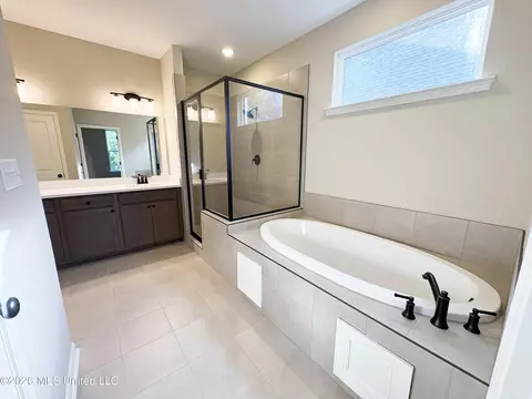 Bath - 3491 Hatton Dr, Nesbit, MS 38651 photo 1 of 4