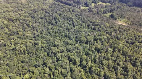 No Ms-407, Kilmichael, MS 39747 photo 19