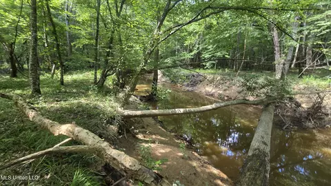 No Ms-407, Kilmichael, MS 39747 photo 2