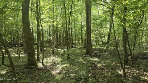 No Ms-407, Kilmichael, MS 39747 photo 29