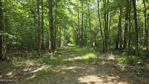 No Ms-407, Kilmichael, MS 39747 photo 27