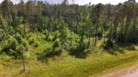 No Ms-407, Kilmichael, MS 39747 photo 25
