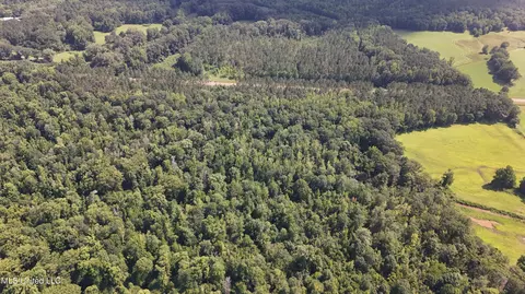 No Ms-407, Kilmichael, MS 39747 photo 20