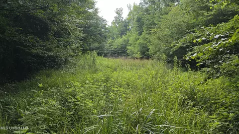 No Ms-407, Kilmichael, MS 39747 photo 7