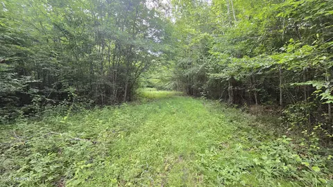 No Ms-407, Kilmichael, MS 39747 photo 34