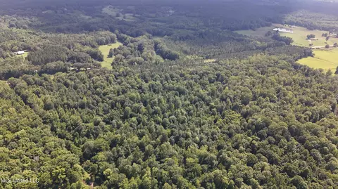 No Ms-407, Kilmichael, MS 39747 photo 22
