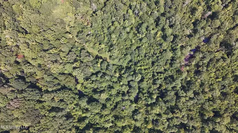 No Ms-407, Kilmichael, MS 39747 photo 17