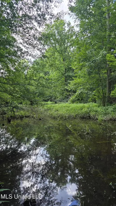 No Ms-407, Kilmichael, MS 39747 photo 8