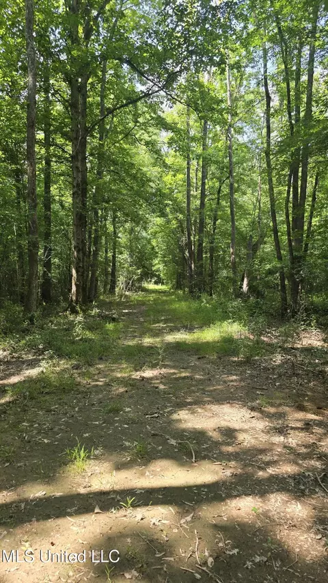 No Ms-407, Kilmichael, MS 39747 photo 26