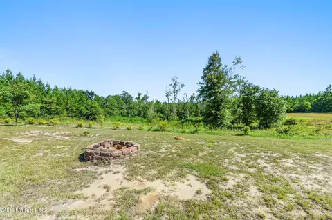 87 Ball Park Rd, Perkinston, MS 39573 photo 25