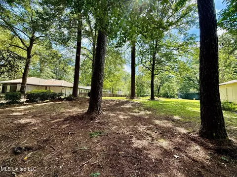 119 Chinquipin Ln, Florence, MS 39073 photo 35