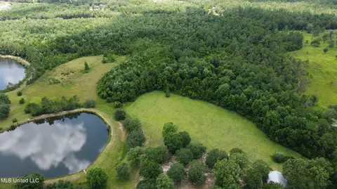 Other - 24000 Robert E Lee Rd, Lucedale, MS 39452 photo 17 of 17