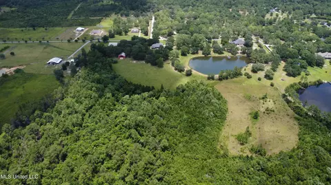 View/Area - 24000 Robert E Lee Rd, Lucedale, MS 39452 photo 4 of 6