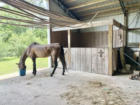 Other - 24000 Robert E Lee Rd, Lucedale, MS 39452 photo 6 of 17