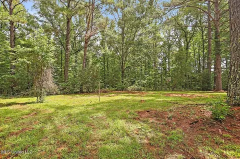 Exterior - 437 Henry Byrd Rd, Florence, MS 39073 photo 8 of 9